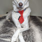 Red Spotty Dog Slip On Necktie