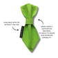 Green Dog Slip On Necktie