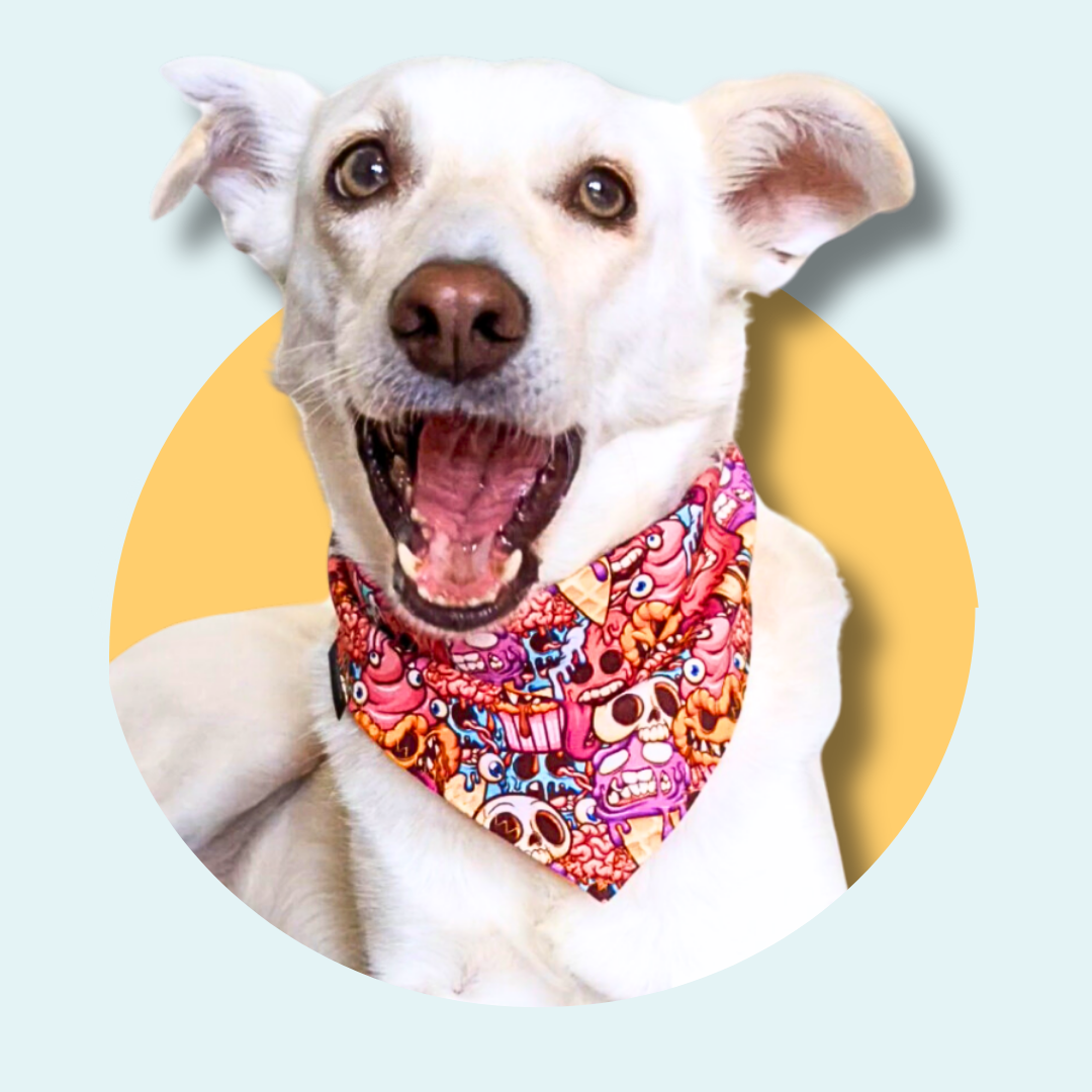 Pink Ice Scream Halloween Dog Bandana | Scarf Tie On Bandana