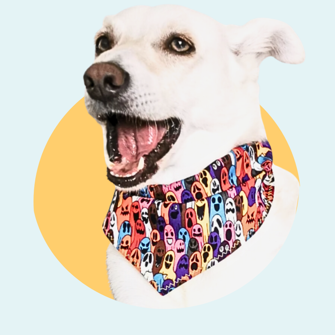 Halloween Ghoul Dog Howloween Bandana | Scarf Tie On Bandana