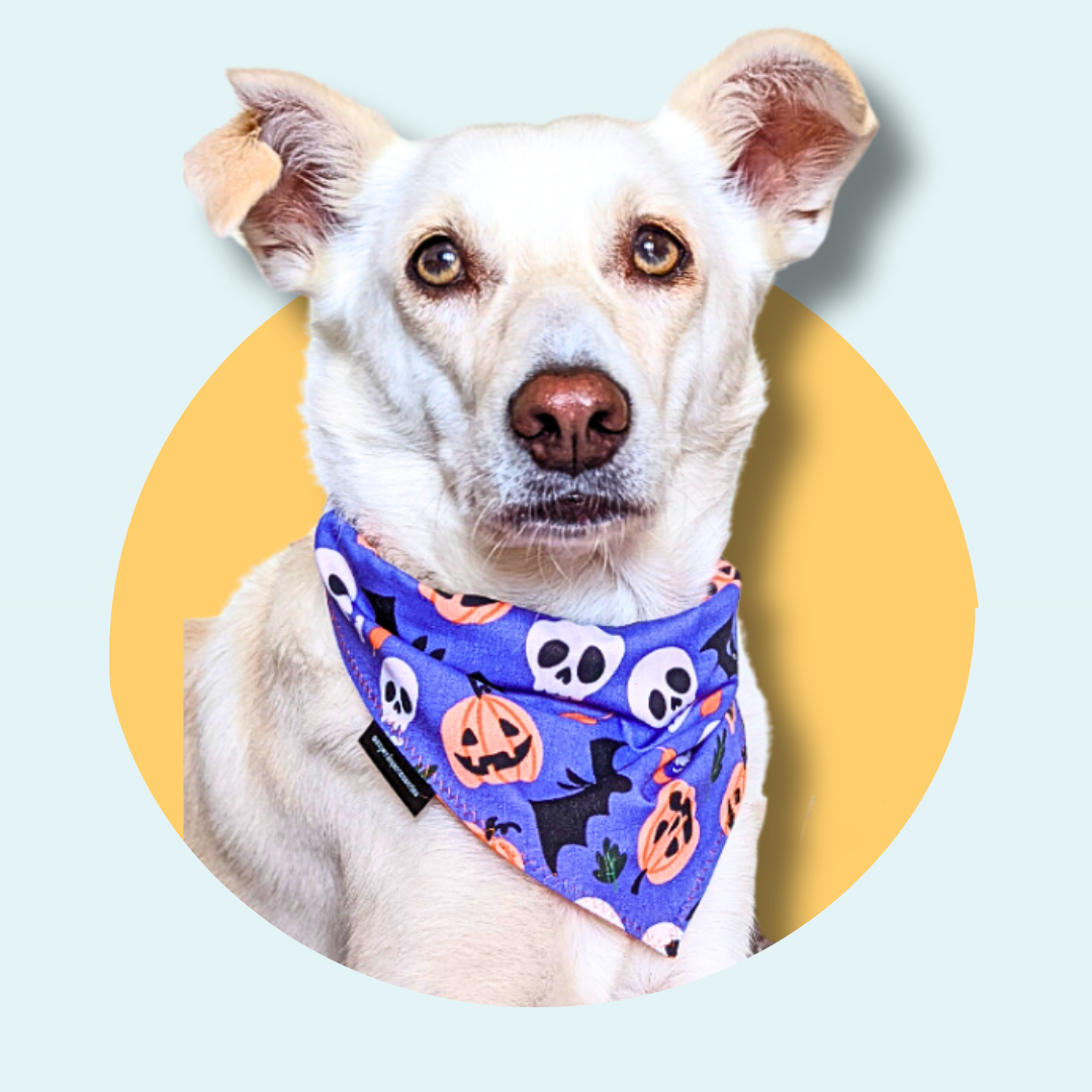 Purple Halloween Dog Bandana | Scarf Tie On Bandana