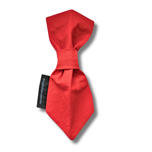 Plain Red Dog Tie