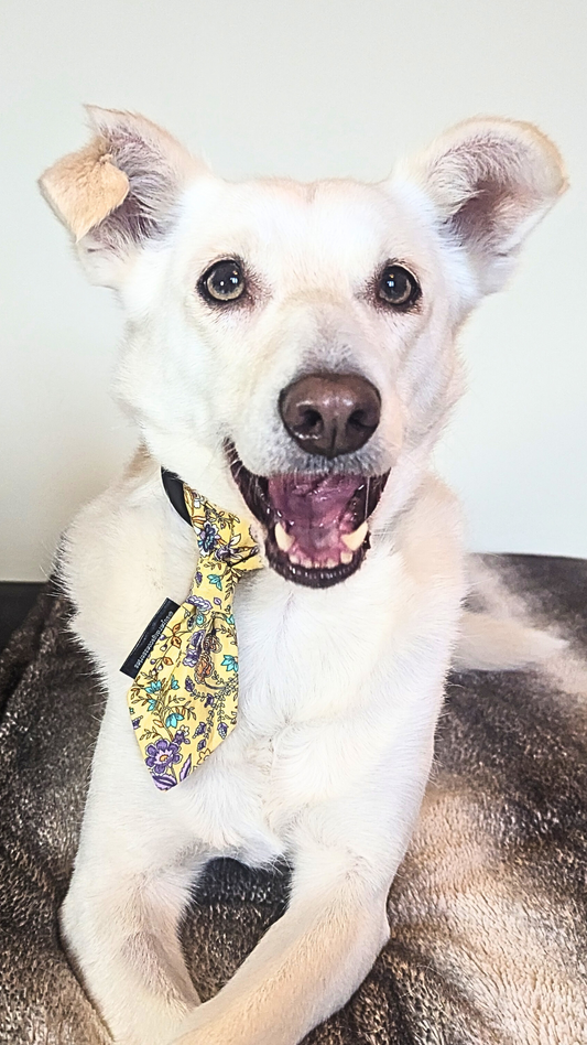 Yellow Floral Dog Necktie (Slides onto Collar)