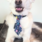 Denim Star Slip On Dog Necktie