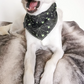 Spiderweb Dog Bandana | Scarf Tie On Bandana