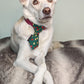 Green Christmas Star Dog Slip On Necktie