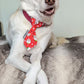 Christmas Pudding Dog Slip On Necktie