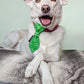 Christmas Naughty or Nice Dog Slip On Necktie