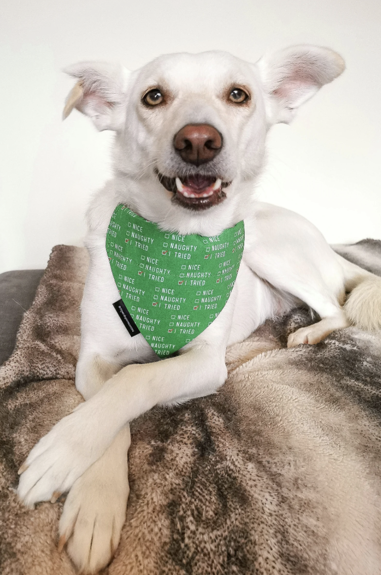 Christmas Naughty or Nice Dog/Cat Slip On Bandana