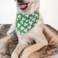 St Patrick's Day Shamrock Dog Scarf Bandana