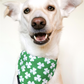 St Patrick's Day Shamrock Bandana Dog/Cat Slip On Bandana