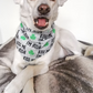 St Patrick's Day Kiss Me I'm Irish Bandana | Scarf Tie On Dog Bandana