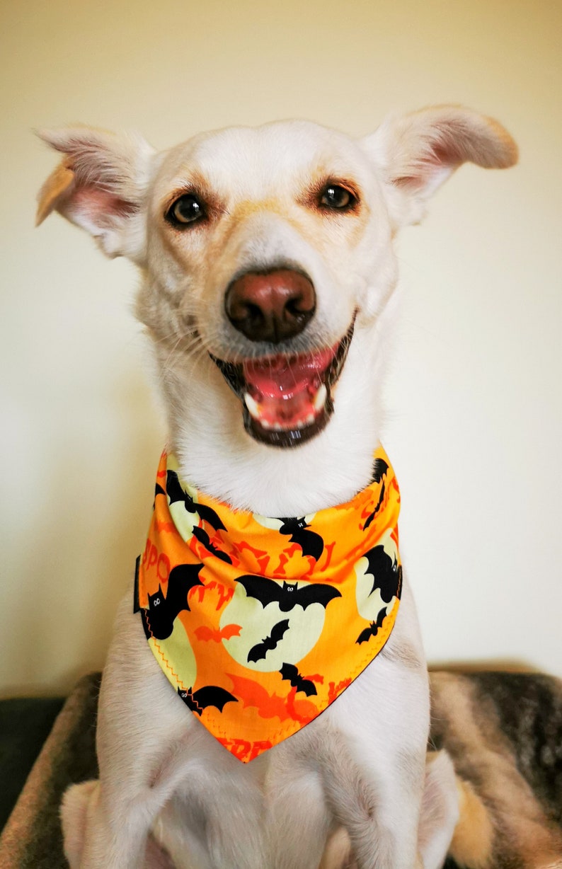 Orange Halloween Dog Bandana | Scarf Tie On Bandana