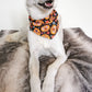 Pumpkin Halloween Dog Bandana | Scarf Tie On Bandana
