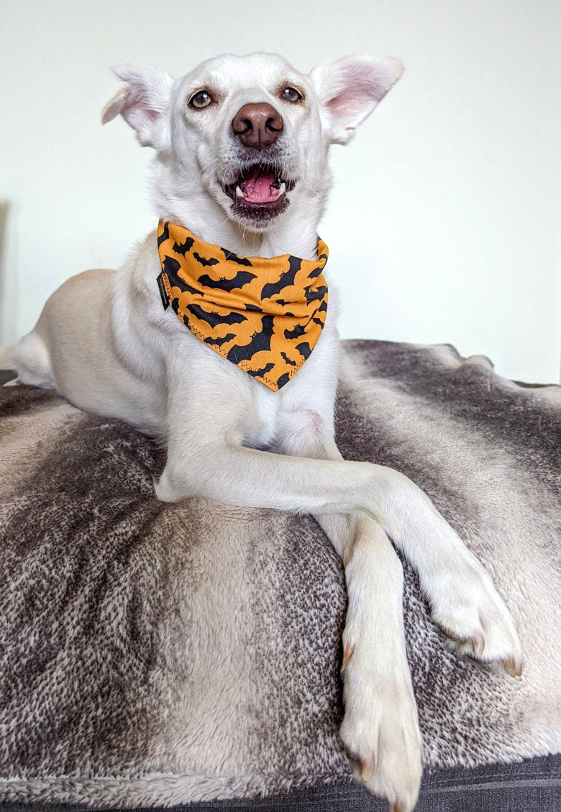 Orange Bat Halloween Dog Bandana | Scarf Tie On Bandana