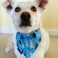 Christmas Festive Winter Dog/Cat Slip On Bandana