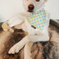 Pastel Check Tartan Dog/Cat Slip On Bandana