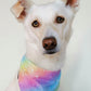 Pastel Rainbow Print Dog Bandana | Scarf Tie On Bandana