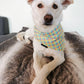 Pastel Tartan Check Print Dog Bandana | Scarf Tie On Dog Scarf