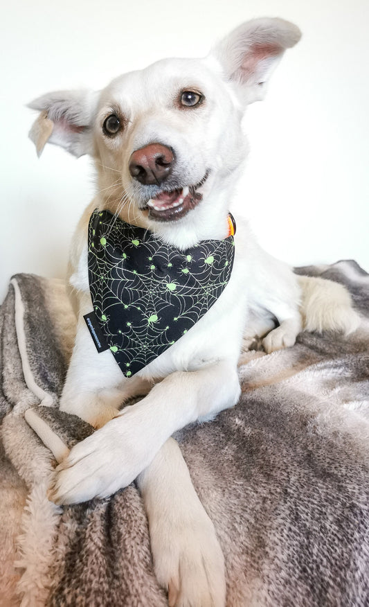 Spiderweb Dog/Cat Slip On Bandana