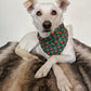 Rescued & Loved Dog Bandana | Scarf Tie On  Dog Scarf