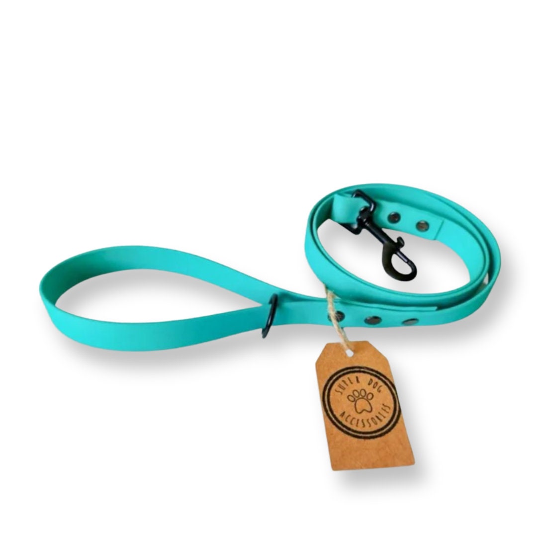 Teal Biothane Vegan Dog Lead | Waterproof Long Training Line