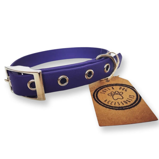 Purple Biothane Waterproof Vegan Buckle Dog Collar