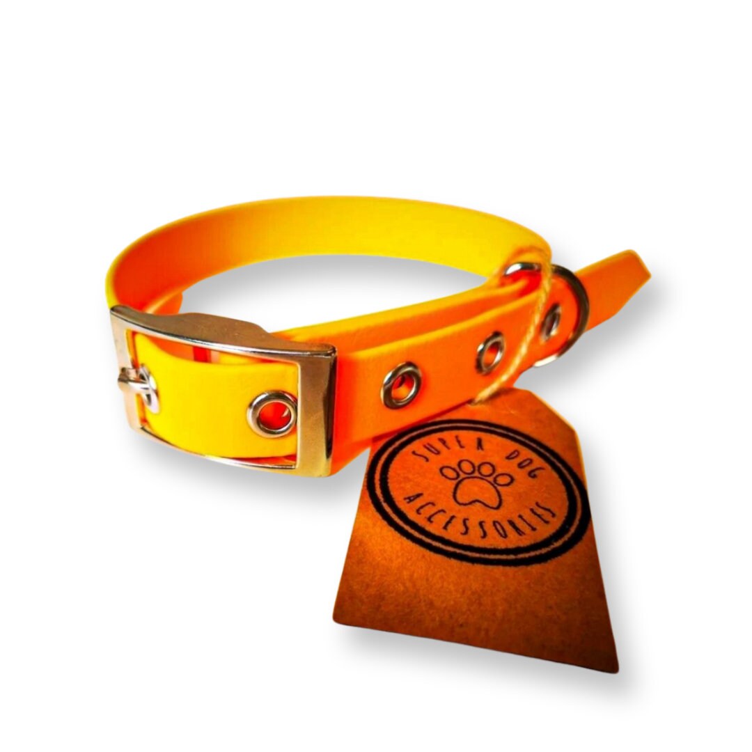 Orange Biothane Waterproof Vegan Buckle Dog Collar