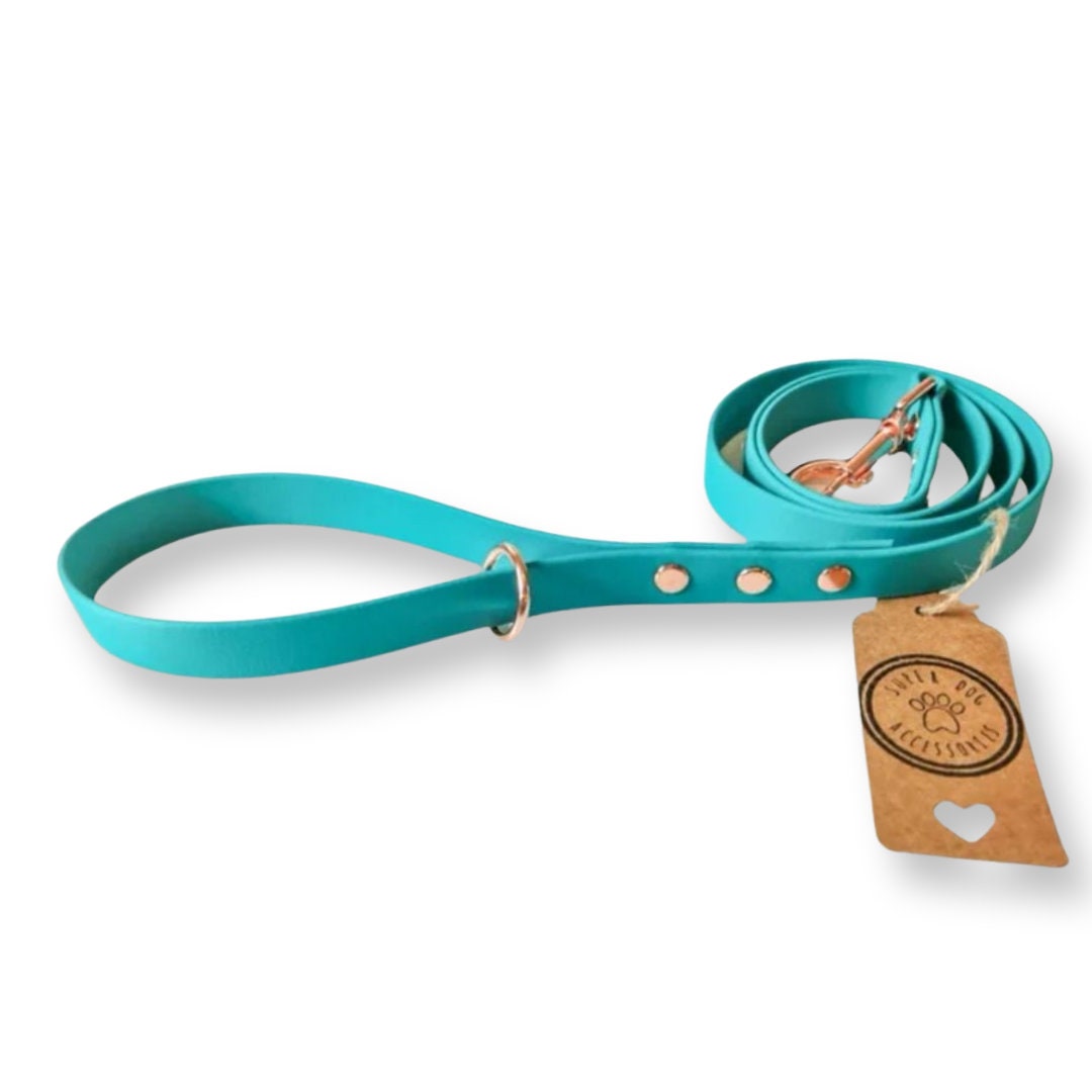 Teal Biothane Vegan Dog Lead | Waterproof Long Training Line