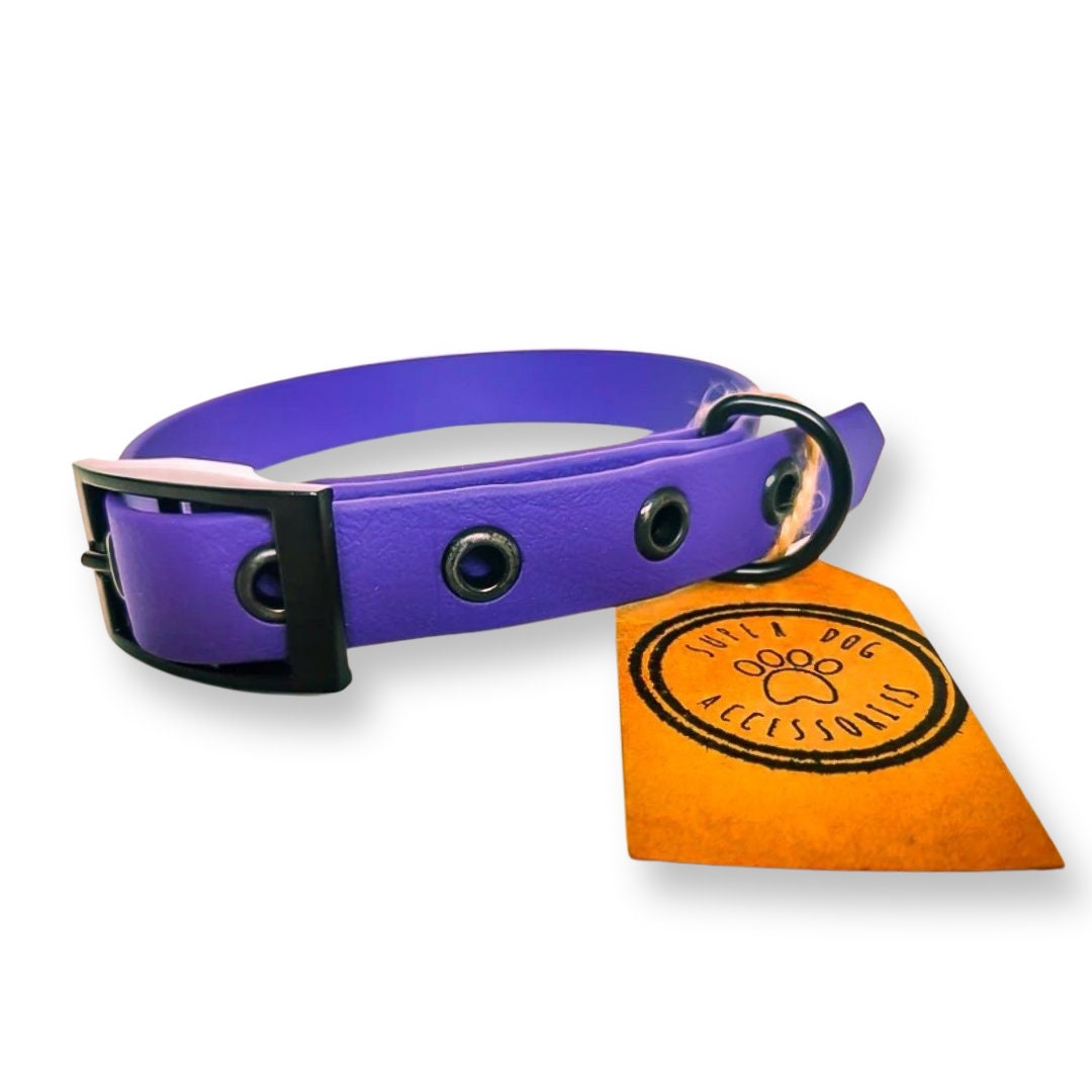 Purple Biothane Waterproof Vegan Buckle Dog Collar