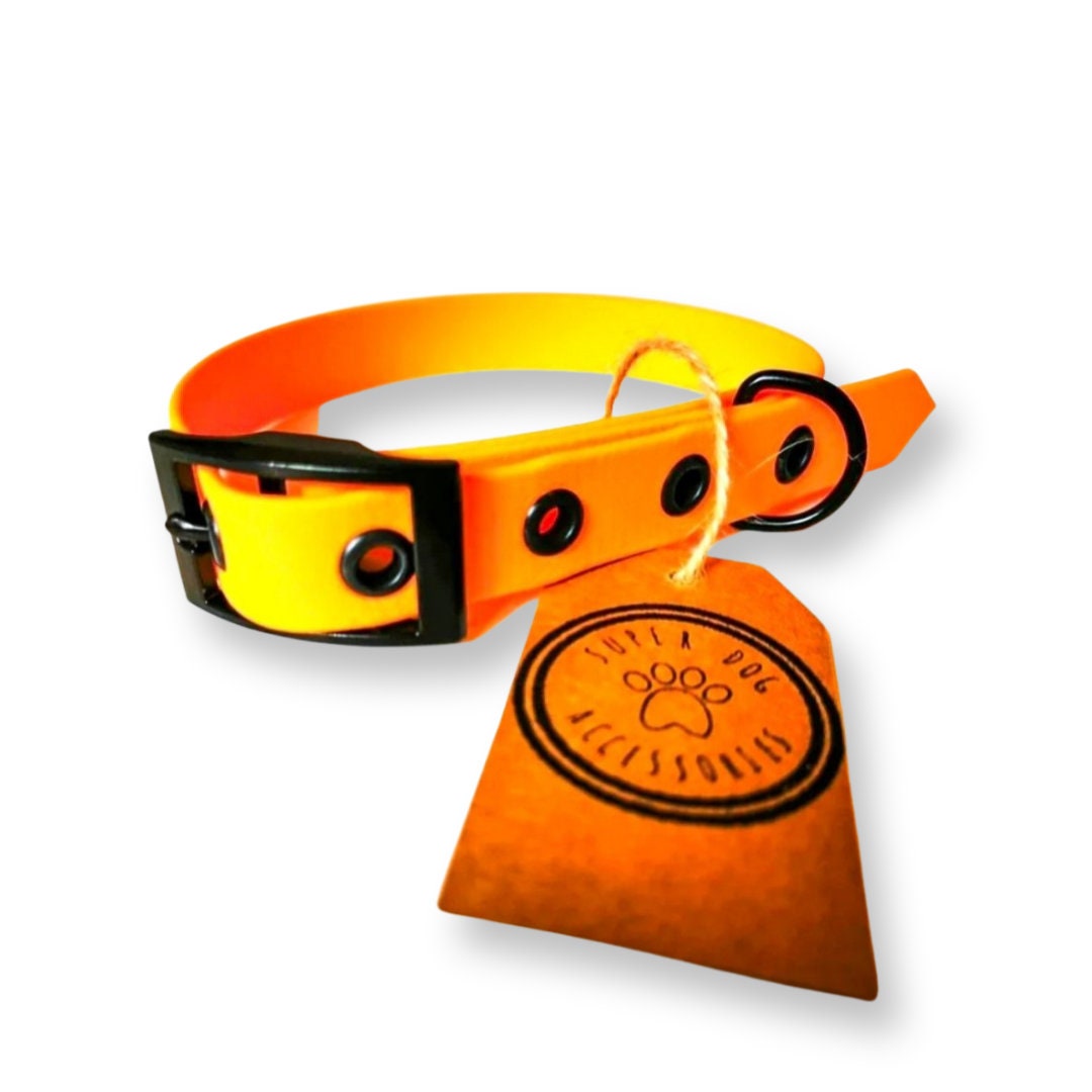 Orange Biothane Waterproof Vegan Buckle Dog Collar