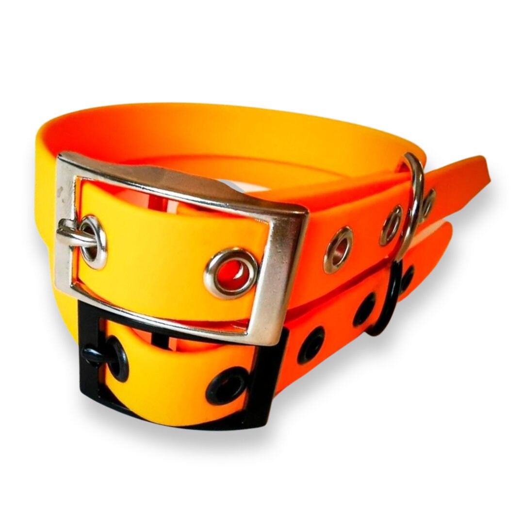 Orange Biothane Waterproof Vegan Buckle Dog Collar