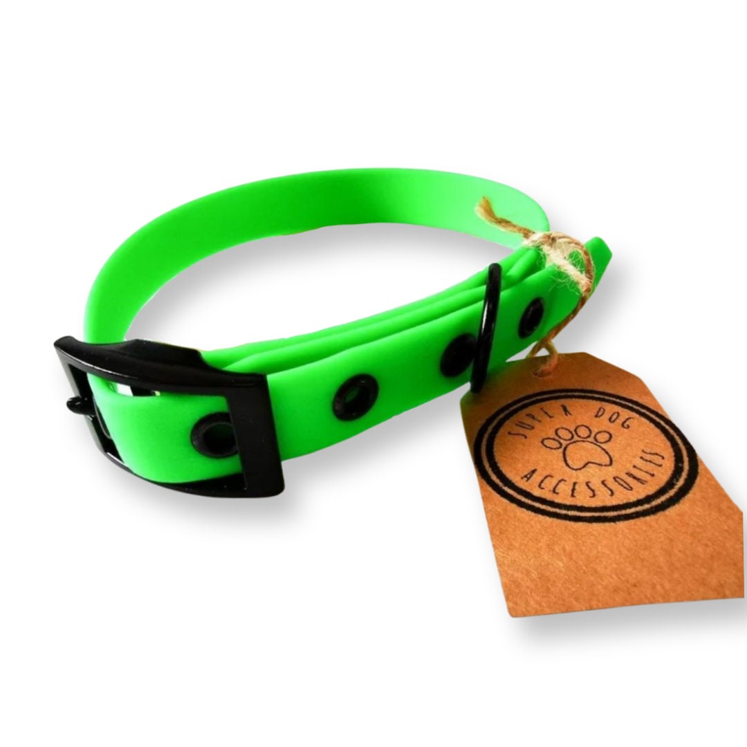 Bright Green Biothane Waterproof Vegan Buckle Dog Collar