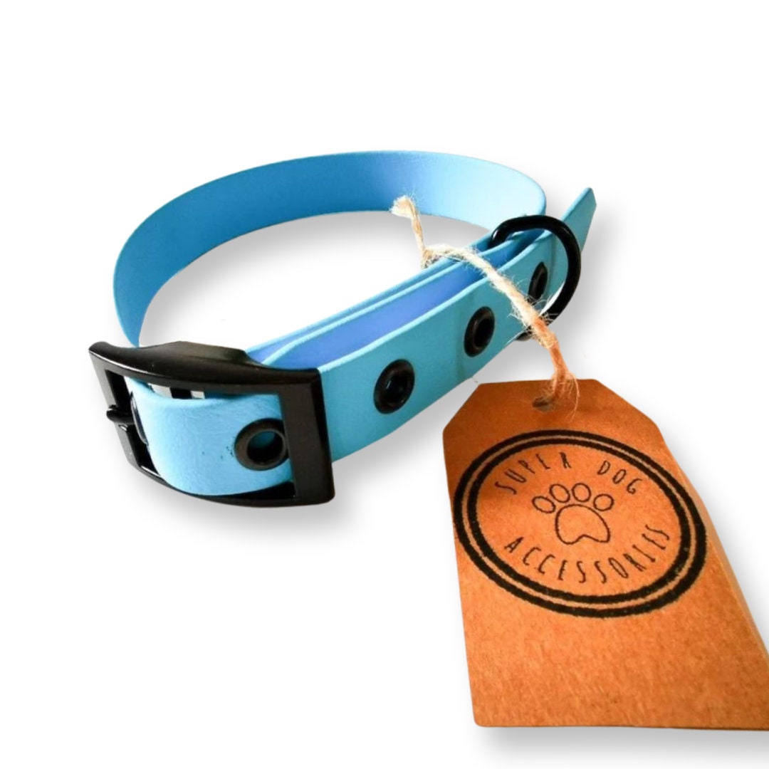 Sky Blue Biothane Waterproof Vegan Buckle Dog Collar