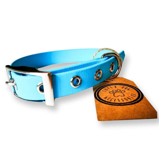 Sky Blue Biothane Waterproof Vegan Buckle Dog Collar