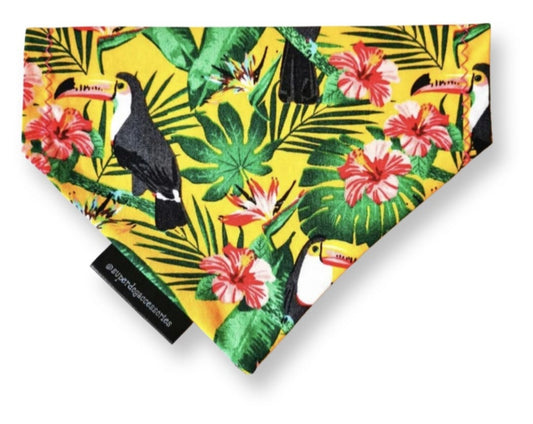 Tropical Toucan Dog/Cat Slip On Bandana
