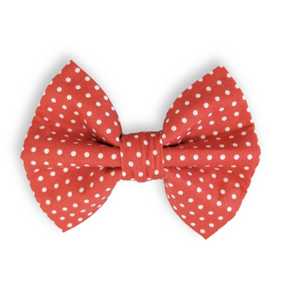 Red Spotty Red Pet Bowtie