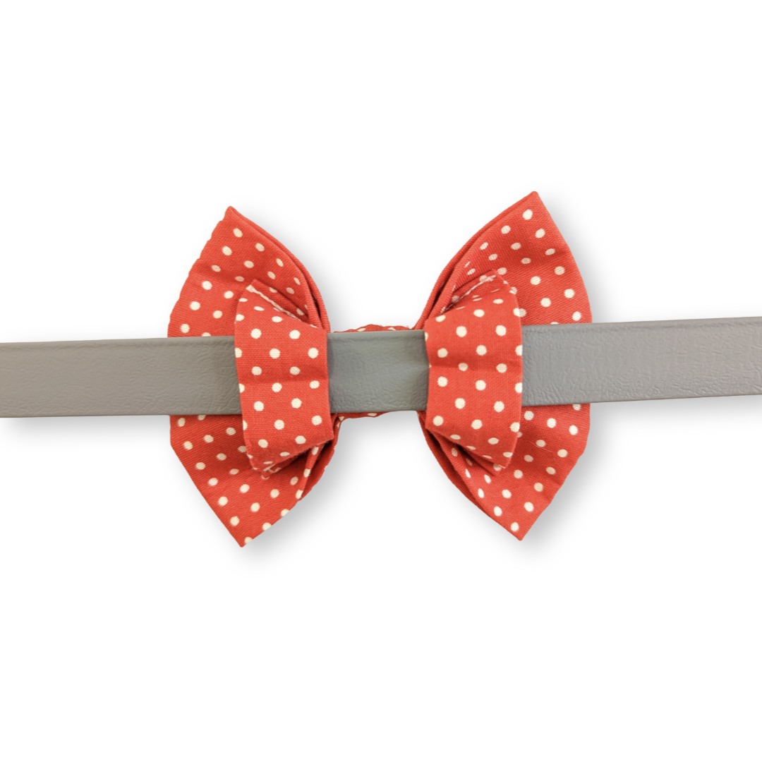 Red Spotty Red Pet Bowtie